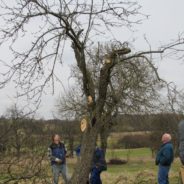 Obtsbaum Schnittkurs 2017