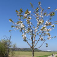 Bericht zum Familienwandertag und Einweihung des Insektenhotels mit Grillfest