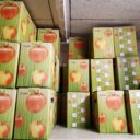 Apfelsaftherstellung im eigenen Garten