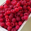 Tipp: Herbst-Himbeeren