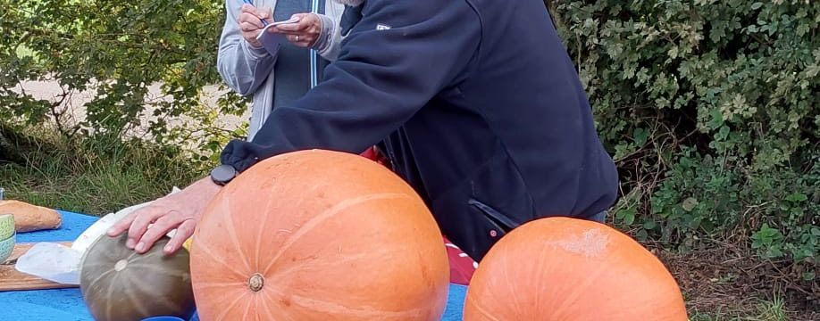 Prämierung der Kürbisse von den STOKIS