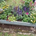 Garten vor Ort