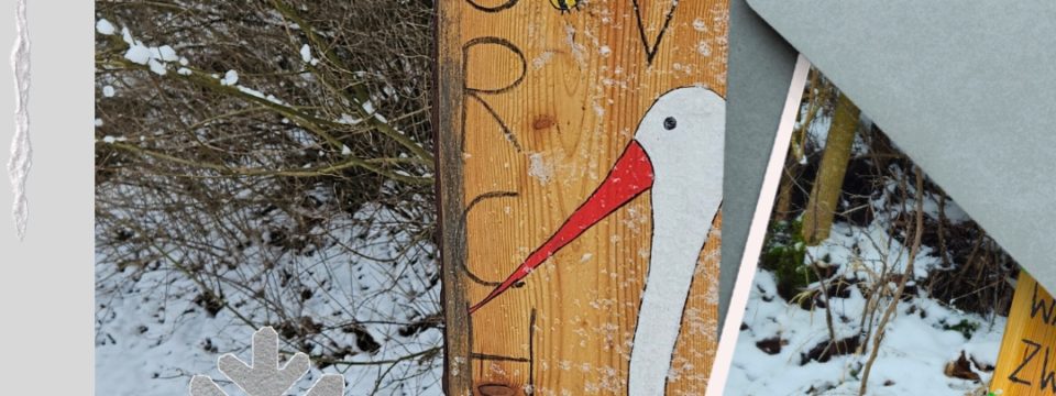 Bretterweg zur Storchenwiese im Schnee