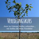 Veredelungskurs