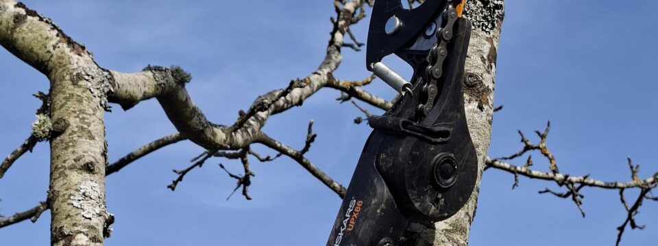 Schnittkurs auf der Storchenwiese