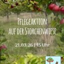 Pflegeaktion auf der Storchenwiese